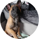 severine Boueyre profile picture